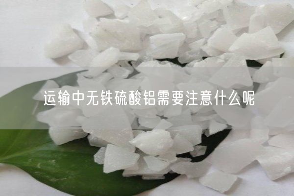 運輸中無(wú)鐵硫酸鋁需要注意什么呢(圖3)