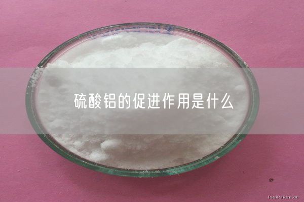 硫酸鋁的促進(jìn)作用是什么(圖7)