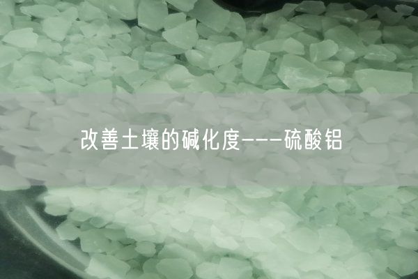 改善土壤的堿化度---硫酸鋁(圖1)