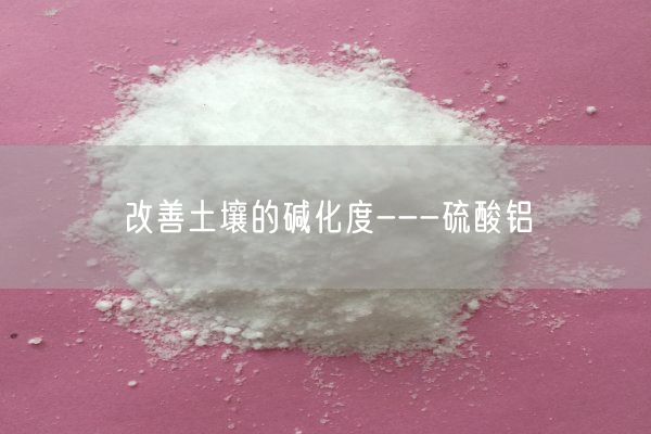 改善土壤的堿化度---硫酸鋁(圖2)