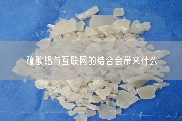 硫酸鋁與互聯(lián)網(wǎng)的結合會(huì )帶來(lái)什么(圖2)