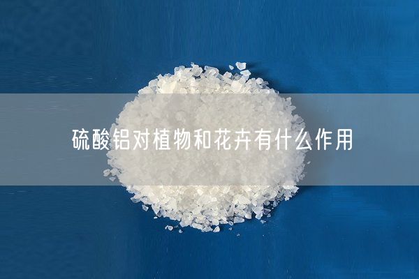 硫酸鋁對植物和花卉有什么作用(圖1)