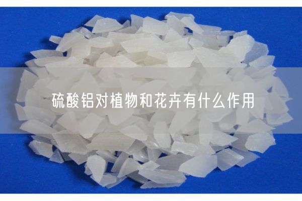 硫酸鋁對植物和花卉有什么作用(圖2)