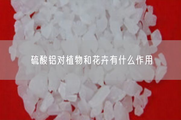 硫酸鋁對植物和花卉有什么作用