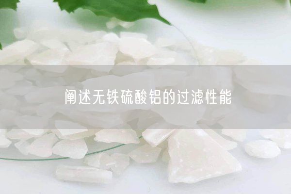 闡述無(wú)鐵硫酸鋁的過(guò)濾性能(圖2)