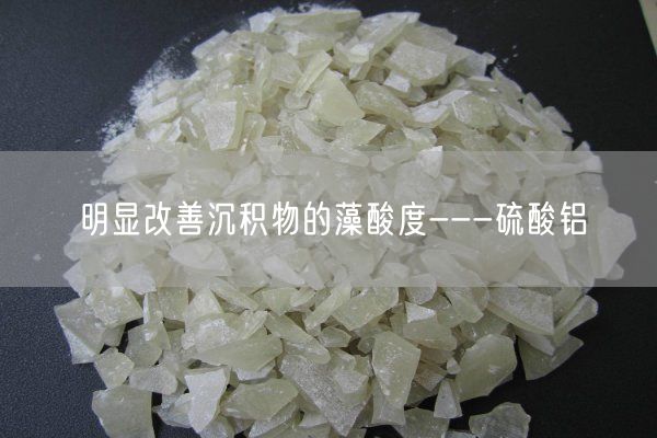 明顯改善沉積物的藻酸度---硫酸鋁(圖8)