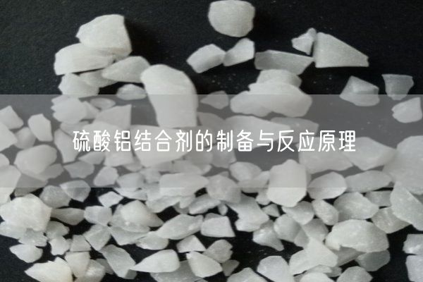 硫酸鋁結合劑的制備與反應原理(圖8)