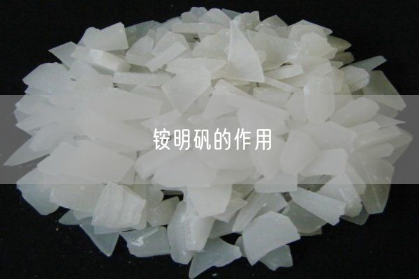 銨明礬的作用