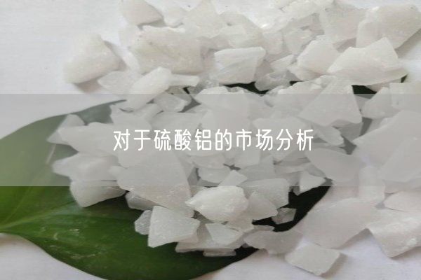 對于硫酸鋁的市場(chǎng)分析(圖5)