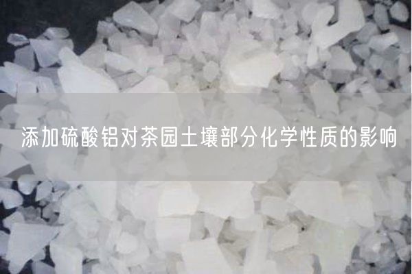添加硫酸鋁對茶園土壤部分化學(xué)性質(zhì)的影響(圖6)