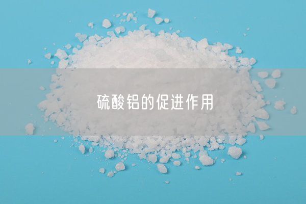 硫酸鋁的促進(jìn)作用(圖2)