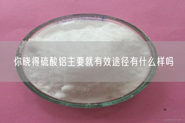 你曉得硫酸鋁主要就有效途徑有什么樣嗎(圖2)