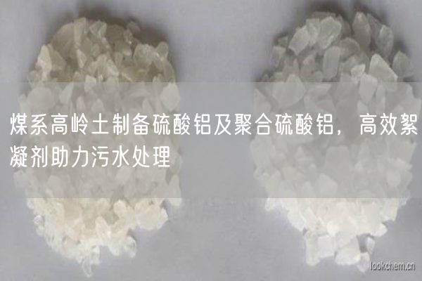 煤系高嶺土制備硫酸鋁及聚合硫酸鋁，高效絮凝劑助力污水處理(圖7)
