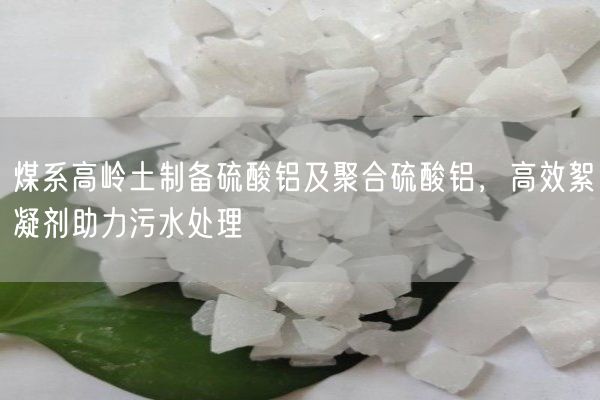 煤系高嶺土制備硫酸鋁及聚合硫酸鋁，高效絮凝劑助力污水處理(圖4)