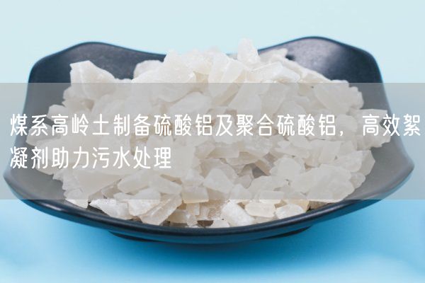 煤系高嶺土制備硫酸鋁及聚合硫酸鋁，高效絮凝劑助力污水處理(圖3)